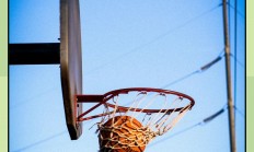太阳队战绩起伏不定，寻找稳定表现