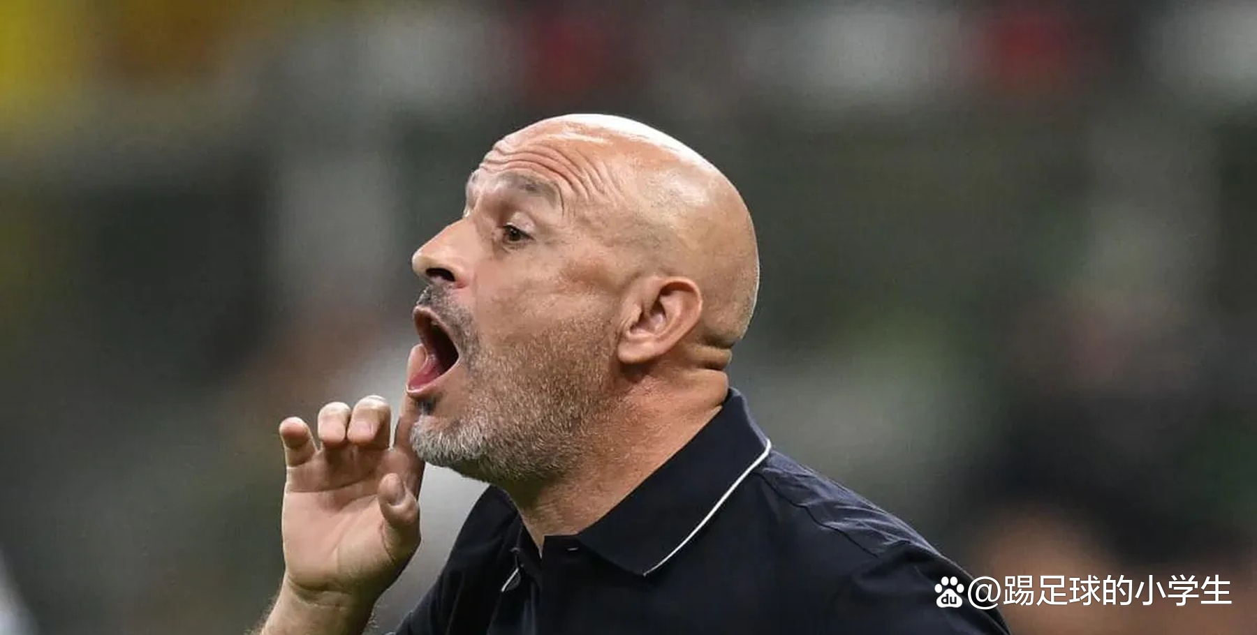 关于博洛尼亚客场不敌对手，遭遇连败的信息